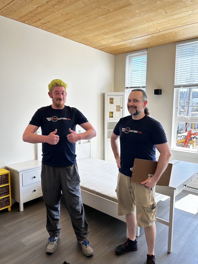 Furniture Assembly For Homes Offices And Storage