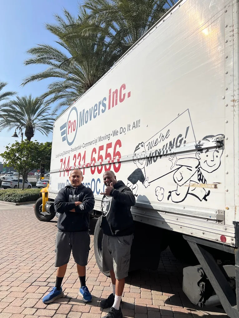 Couch Moving For Homes Offices And Shops